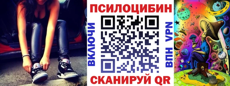 купить  цена  Георгиевск  ссылка на мегу ссылка  Псилоцибиновые грибы Cubensis 